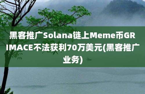 黑客推广Solana链上Meme币GRIMACE不法获利70万美元(黑客推广业务)