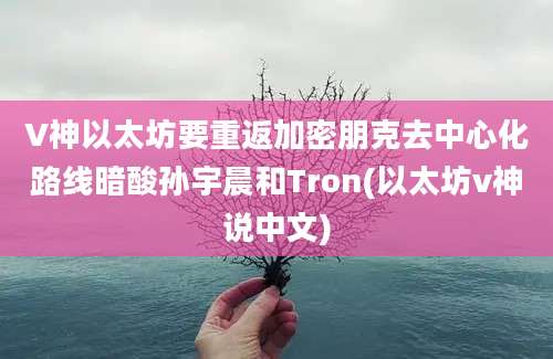 V神以太坊要重返加密朋克去中心化路线暗酸孙宇晨和Tron(以太坊v神说中文)