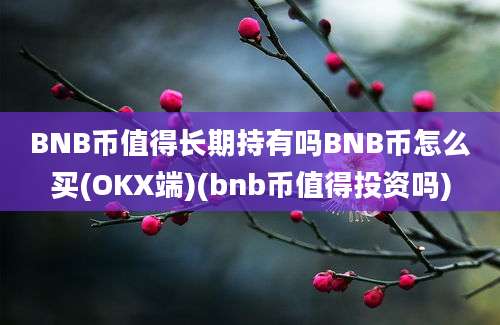 BNB币值得长期持有吗BNB币怎么买(OKX端)(bnb币值得投资吗)