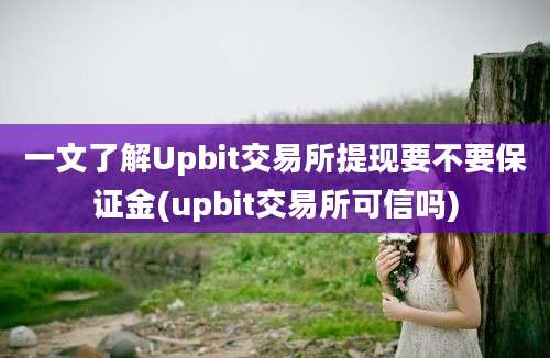 一文了解Upbit交易所提现要不要保证金(upbit交易所可信吗)