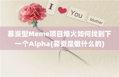 募资型Meme项目爆火如何找到下一个Alpha(募资是做什么的)