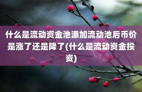 什么是流动资金池添加流动池后币价是涨了还是降了(什么是流动资金投资)