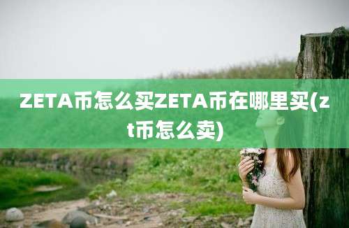 ZETA币怎么买ZETA币在哪里买(zt币怎么卖)