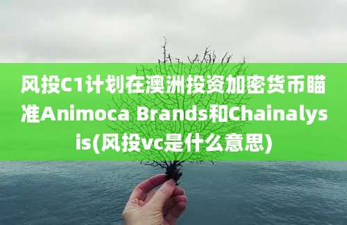 风投C1计划在澳洲投资加密货币瞄准Animoca Brands和Chainalysis(风投vc是什么意思)