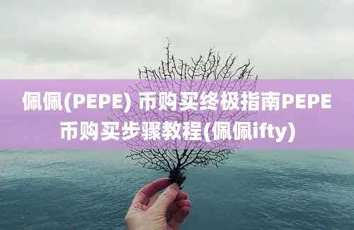 佩佩(PEPE) 币购买终极指南PEPE币购买步骤教程(佩佩ifty)