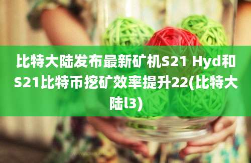 比特大陆发布最新矿机S21 Hyd和S21比特币挖矿效率提升22(比特大陆l3)