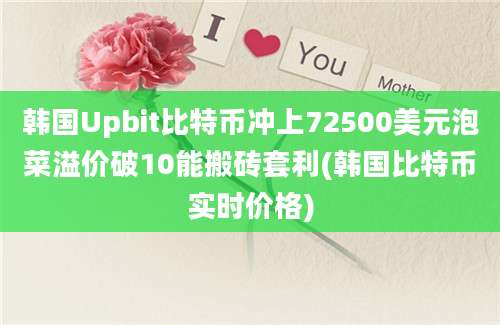 韩国Upbit比特币冲上72500美元泡菜溢价破10能搬砖套利(韩国比特币实时价格)