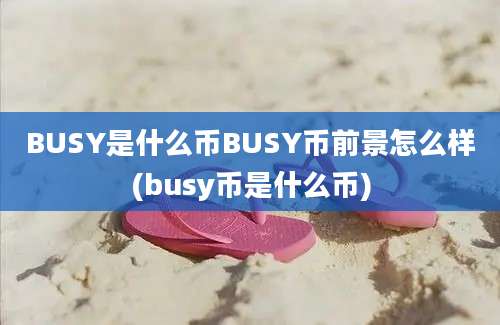 BUSY是什么币BUSY币前景怎么样(busy币是什么币)