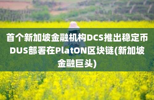 首个新加坡金融机构DCS推出稳定币DUS部署在PlatON区块链(新加坡金融巨头)