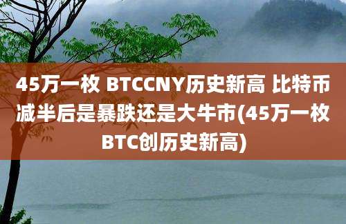 45万一枚 BTCCNY历史新高 比特币减半后是暴跌还是大牛市(45万一枚BTC创历史新高)