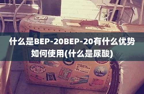 什么是BEP-20BEP-20有什么优势如何使用(什么是尿酸)