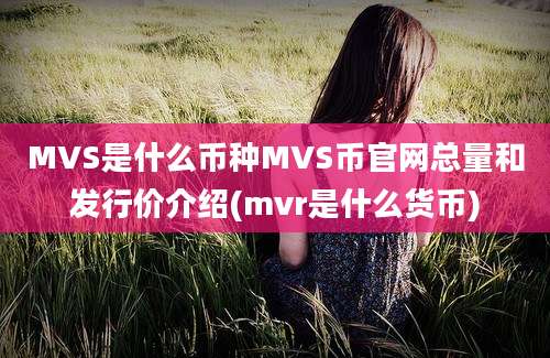 MVS是什么币种MVS币官网总量和发行价介绍(mvr是什么货币)