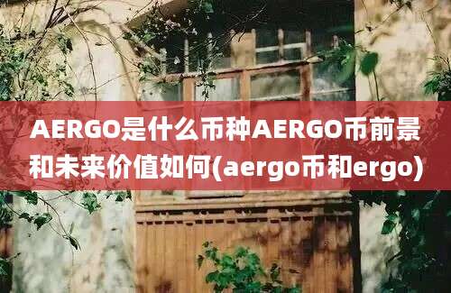 AERGO是什么币种AERGO币前景和未来价值如何(aergo币和ergo)