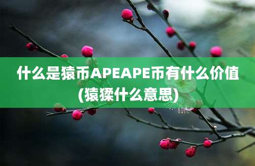 什么是猿币APEAPE币有什么价值(猿猱什么意思)