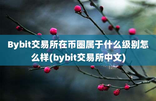 Bybit交易所在币圈属于什么级别怎么样(bybit交易所中文)