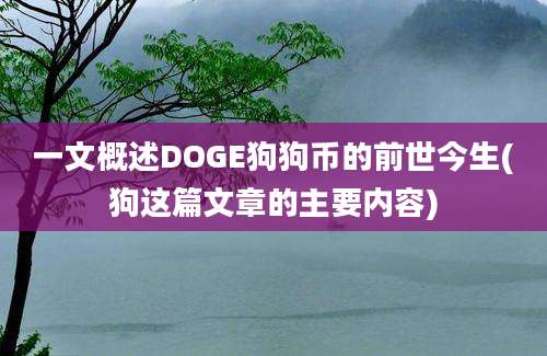 一文概述DOGE狗狗币的前世今生(狗这篇文章的主要内容)