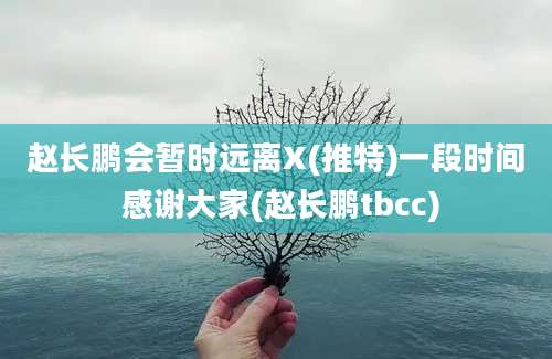 赵长鹏会暂时远离X(推特)一段时间 感谢大家(赵长鹏tbcc)