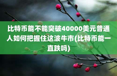 比特币能不能突破40000美元普通人如何把握住这波牛市(比特币能一直跌吗)