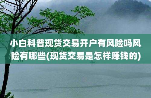 小白科普现货交易开户有风险吗风险有哪些(现货交易是怎样赚钱的)