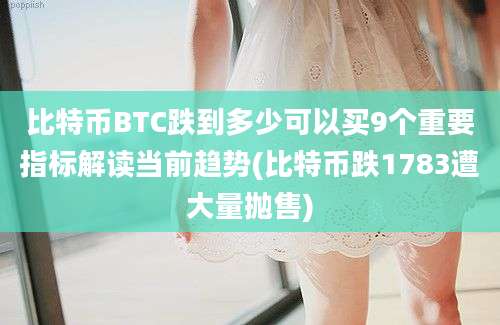 比特币BTC跌到多少可以买9个重要指标解读当前趋势(比特币跌1783遭大量抛售)