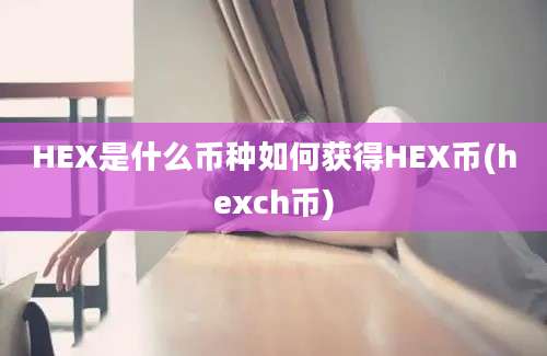 HEX是什么币种如何获得HEX币(hexch币)