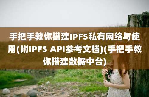 手把手教你搭建IPFS私有网络与使用(附IPFS API参考文档)(手把手教你搭建数据中台)