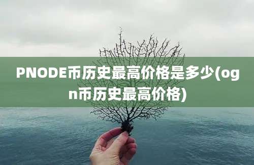 PNODE币历史最高价格是多少(ogn币历史最高价格)