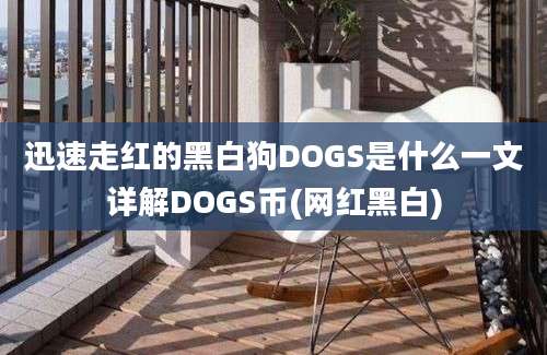 迅速走红的黑白狗DOGS是什么一文详解DOGS币(网红黑白)