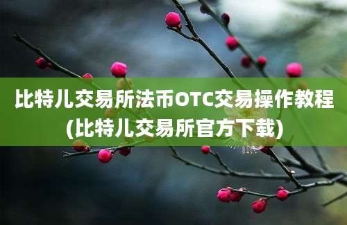 比特儿交易所法币OTC交易操作教程(比特儿交易所官方下载)