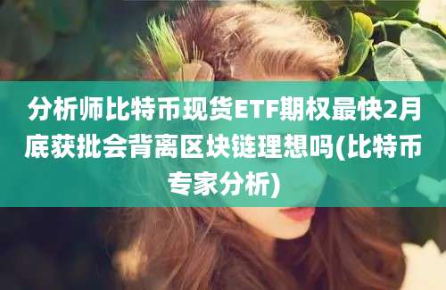 分析师比特币现货ETF期权最快2月底获批会背离区块链理想吗(比特币专家分析)