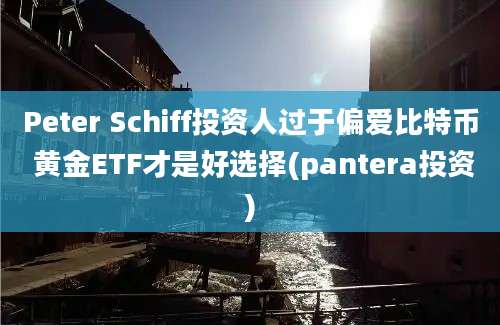 Peter Schiff投资人过于偏爱比特币 黄金ETF才是好选择(pantera投资)