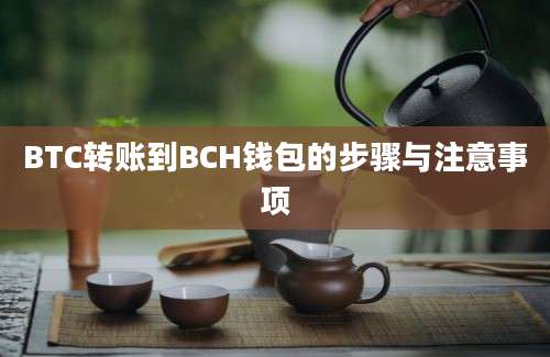 BTC转账到BCH钱包的步骤与注意事项