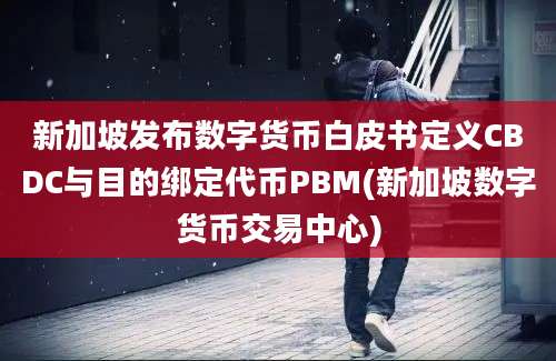 新加坡发布数字货币白皮书定义CBDC与目的绑定代币PBM(新加坡数字货币交易中心)