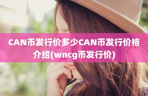 CAN币发行价多少CAN币发行价格介绍(wncg币发行价)