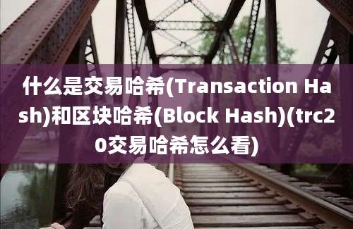 什么是交易哈希(Transaction Hash)和区块哈希(Block Hash)(trc20交易哈希怎么看)