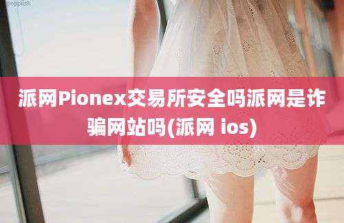 派网Pionex交易所安全吗派网是诈骗网站吗(派网 ios)