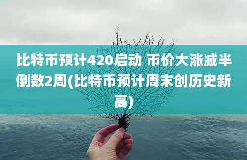 比特币预计420启动 币价大涨减半倒数2周(比特币预计周末创历史新高)