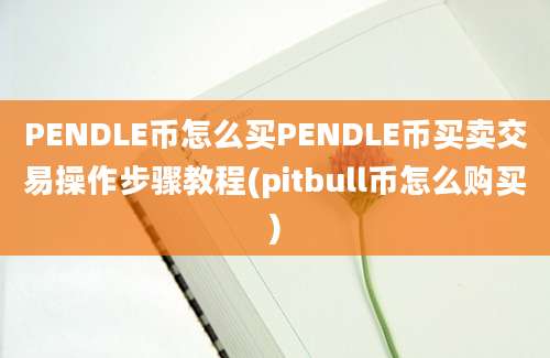 PENDLE币怎么买PENDLE币买卖交易操作步骤教程(pitbull币怎么购买)