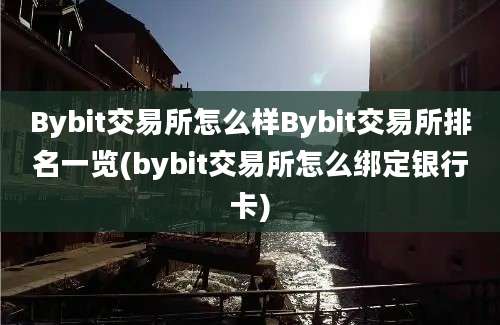 Bybit交易所怎么样Bybit交易所排名一览(bybit交易所怎么绑定银行卡)