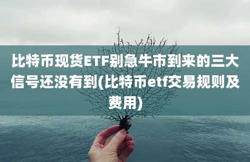 比特币现货ETF别急牛市到来的三大信号还没有到(比特币etf交易规则及费用)