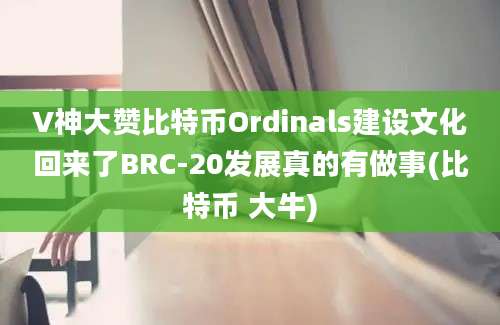 V神大赞比特币Ordinals建设文化回来了BRC-20发展真的有做事(比特币 大牛)