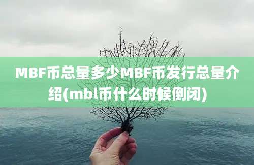 MBF币总量多少MBF币发行总量介绍(mbl币什么时候倒闭)