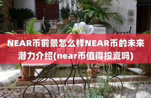 NEAR币前景怎么样NEAR币的未来潜力介绍(near币值得投资吗)