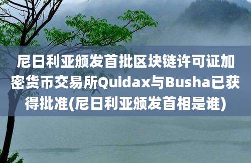 尼日利亚颁发首批区块链许可证加密货币交易所Quidax与Busha已获得批准(尼日利亚颁发首相是谁)