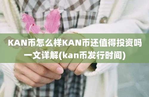 KAN币怎么样KAN币还值得投资吗一文详解(kan币发行时间)