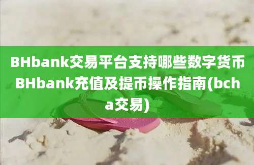 BHbank交易平台支持哪些数字货币BHbank充值及提币操作指南(bcha交易)