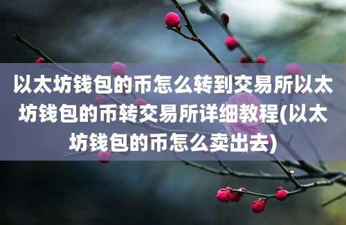 以太坊钱包的币怎么转到交易所以太坊钱包的币转交易所详细教程(以太坊钱包的币怎么卖出去)