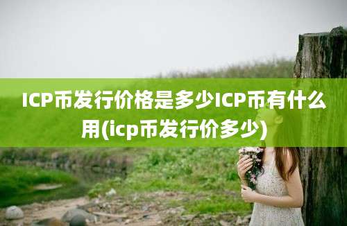 ICP币发行价格是多少ICP币有什么用(icp币发行价多少)