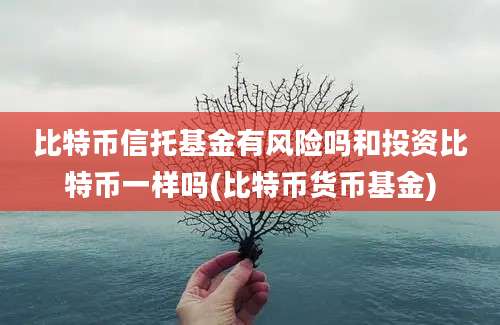 比特币信托基金有风险吗和投资比特币一样吗(比特币货币基金)