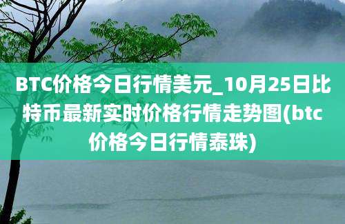 BTC价格今日行情美元_10月25日比特币最新实时价格行情走势图(btc价格今日行情泰珠)